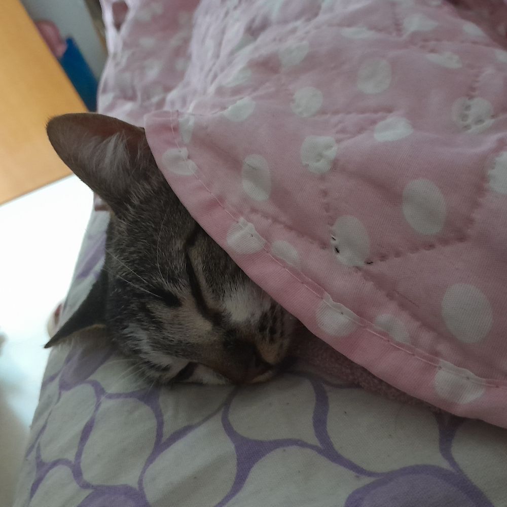 Rafis ♡