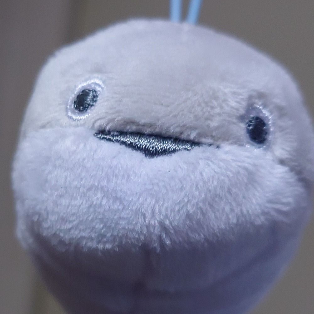 暇人