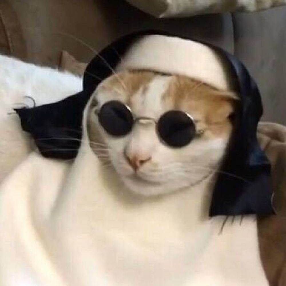 野球ビデオ
