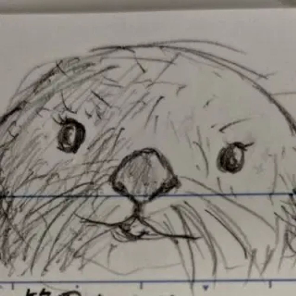 ｽﾄﾗﾌﾞ･ｼｮﾀｽｷｰ