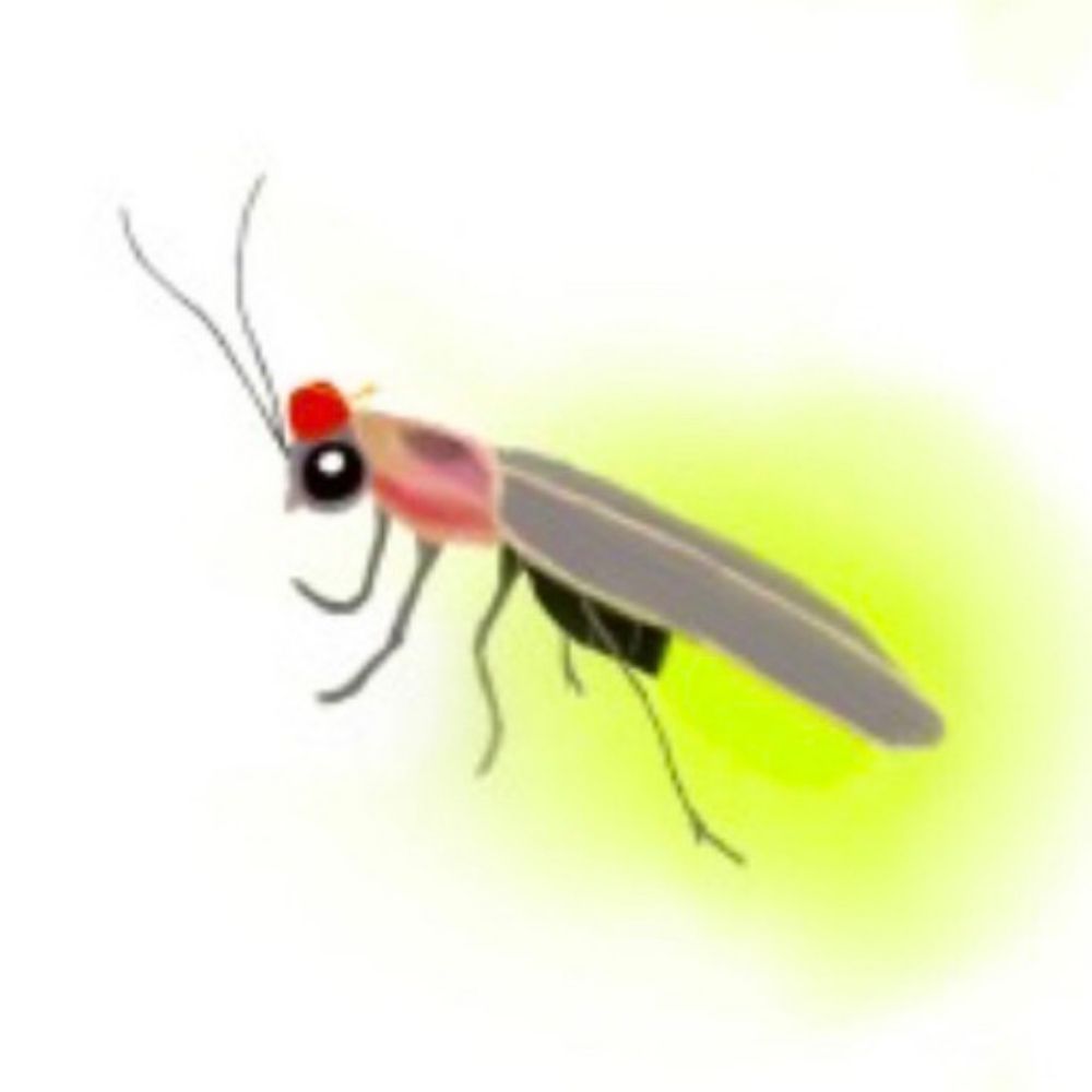 firefly-fez