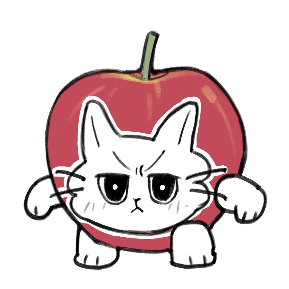새벽캣