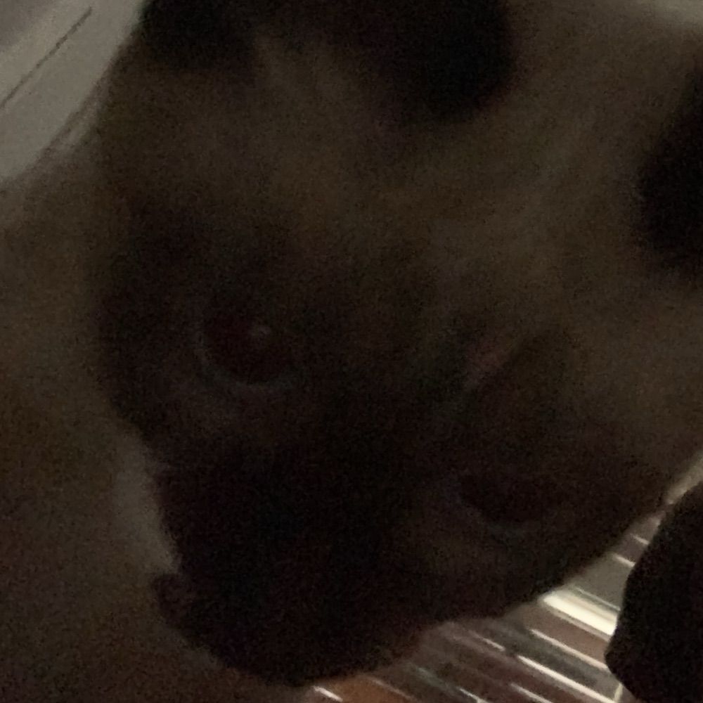 sasa🧃
