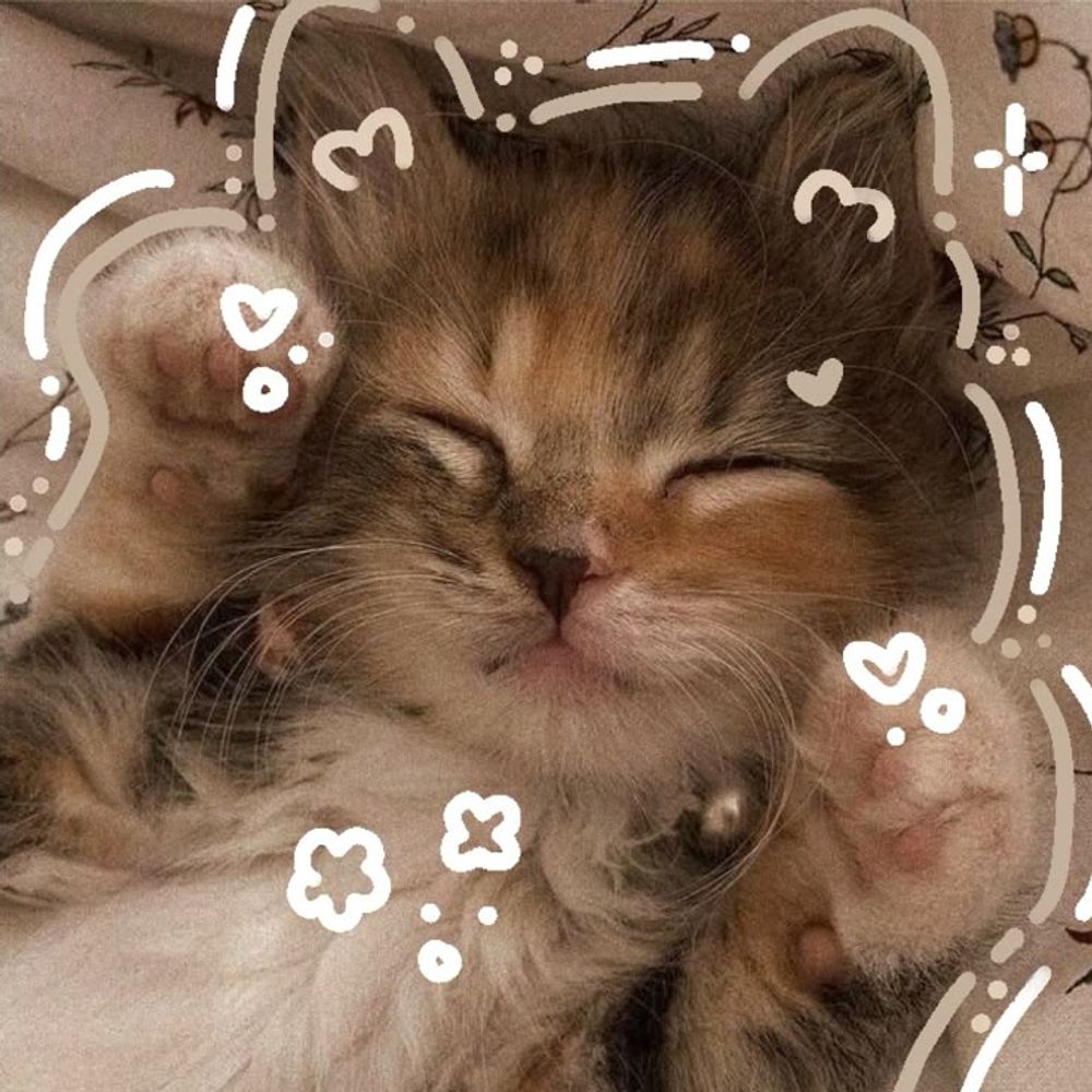 YumeCloud ⋆˚☁️  ༘