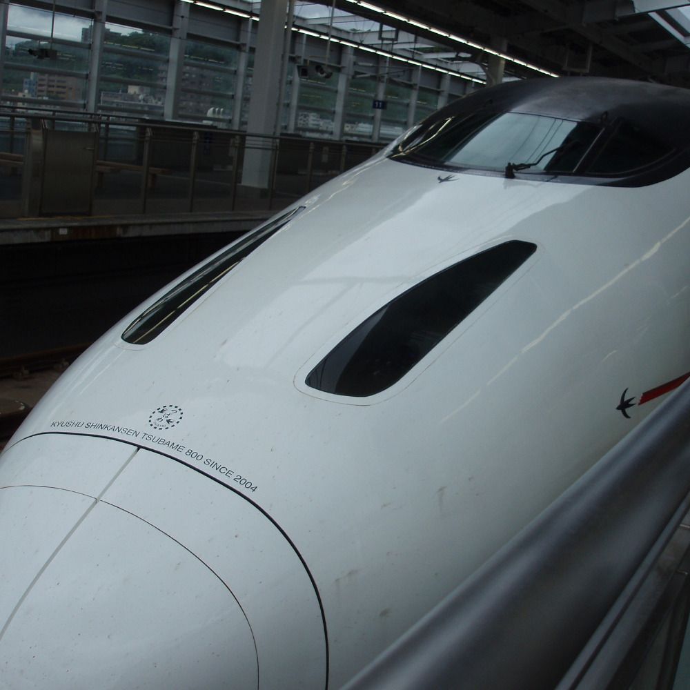 whitepine まつ