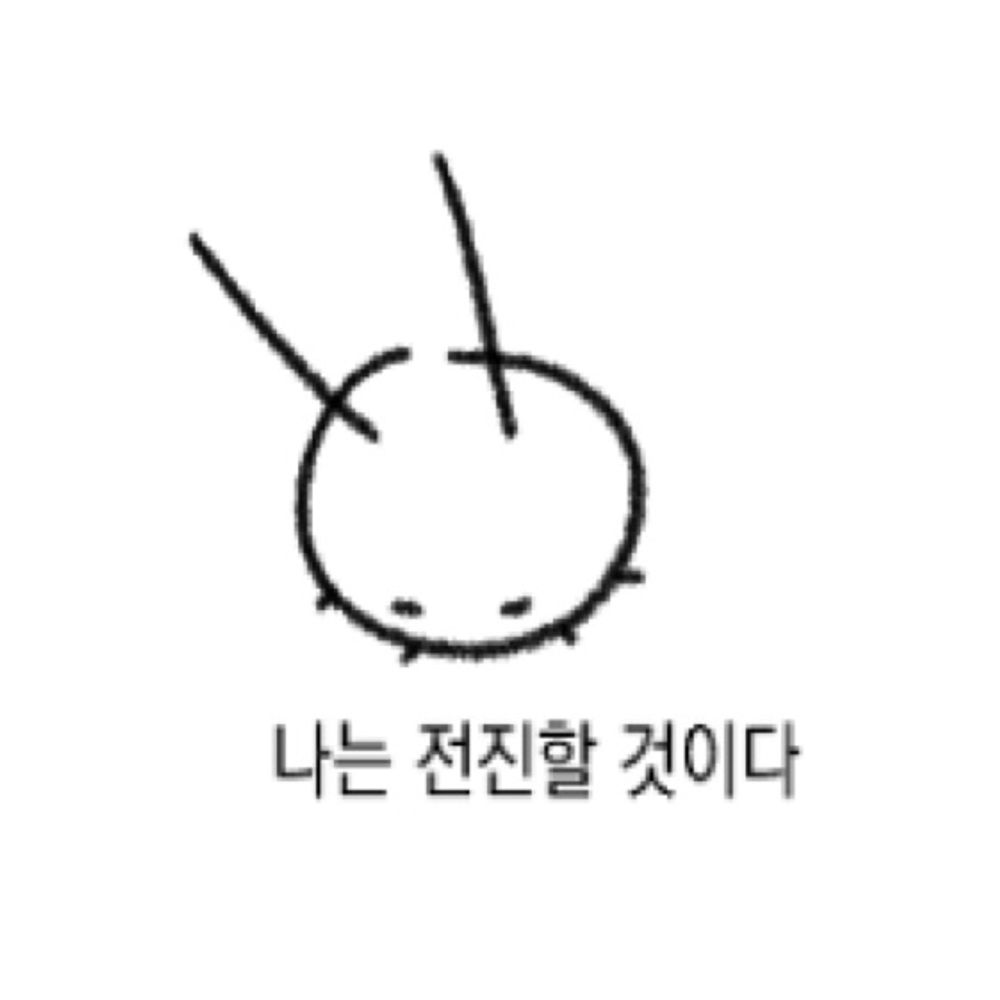 홍어