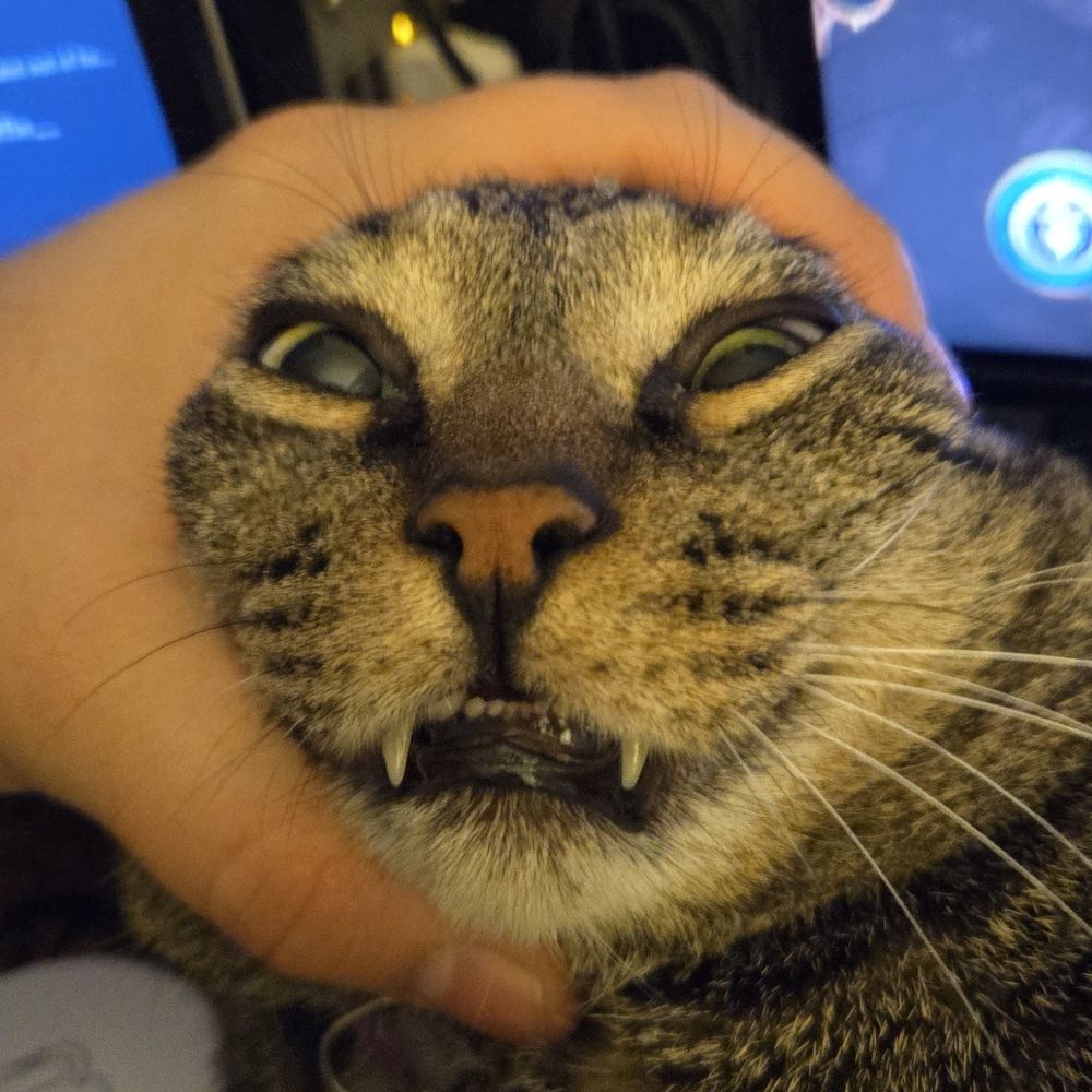 BABABOOWIE