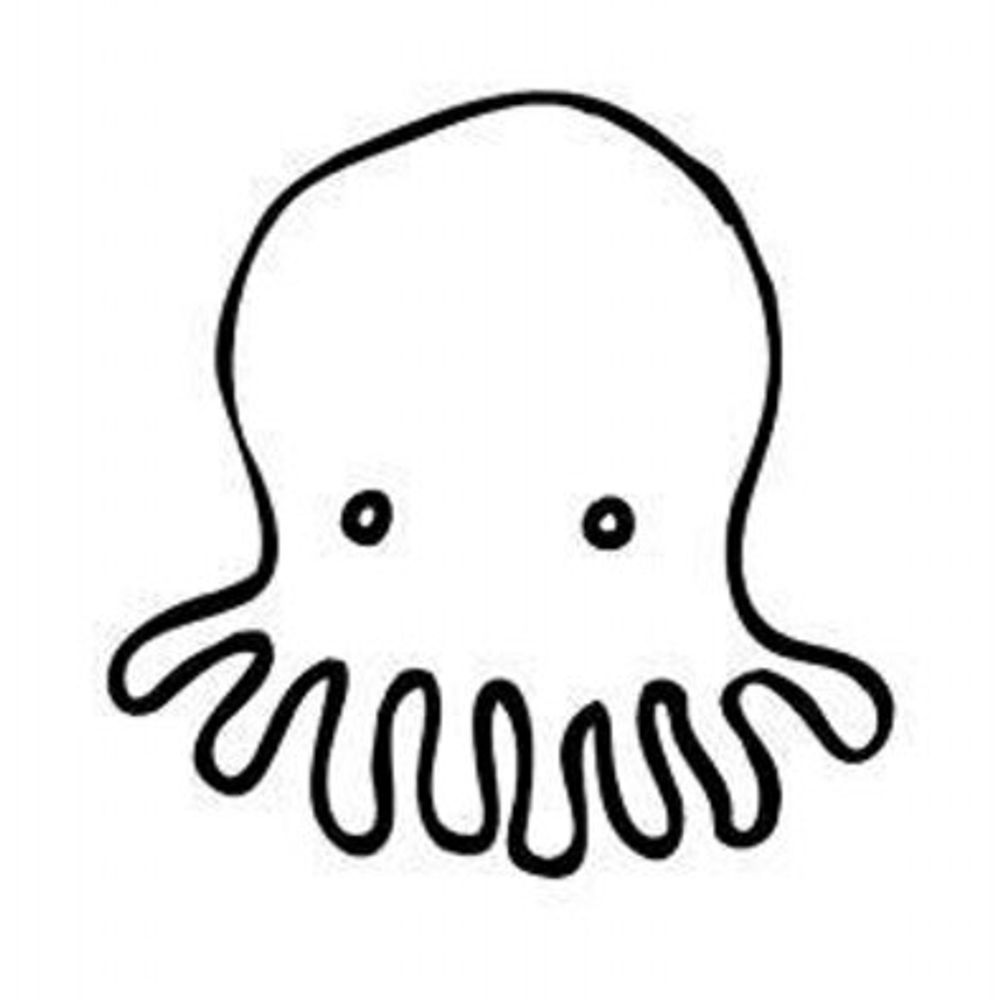 Octopus Community Network