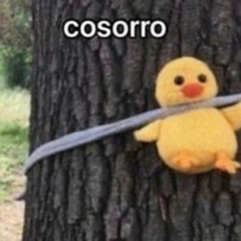 Caua mas sem os a