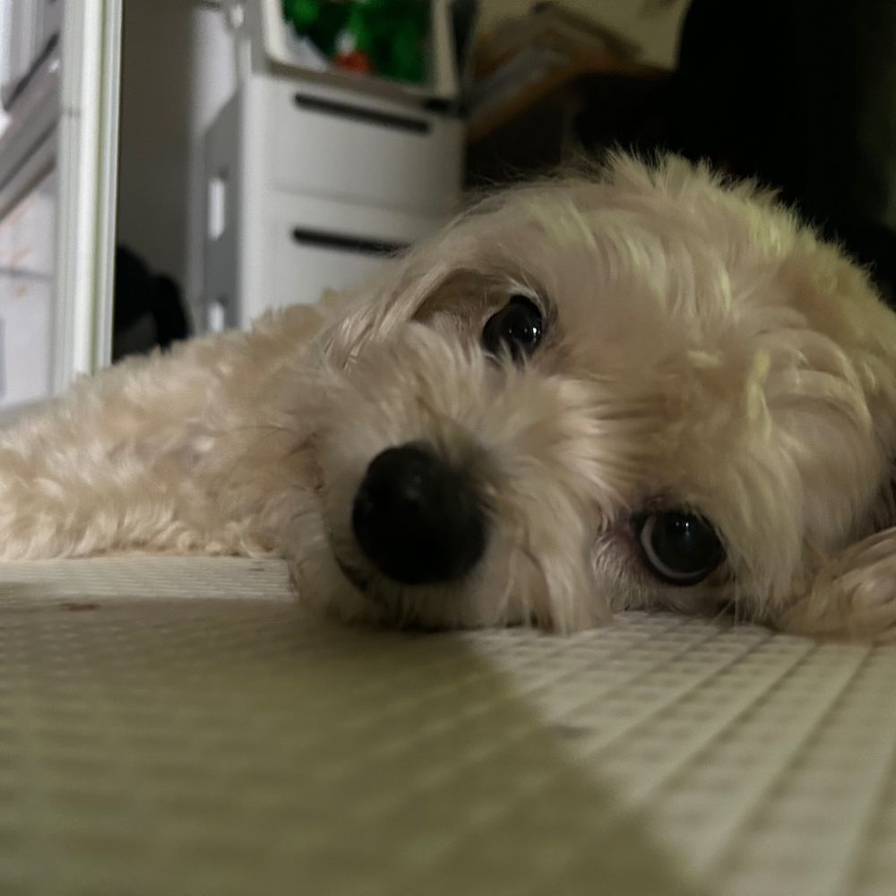 가을이가을이