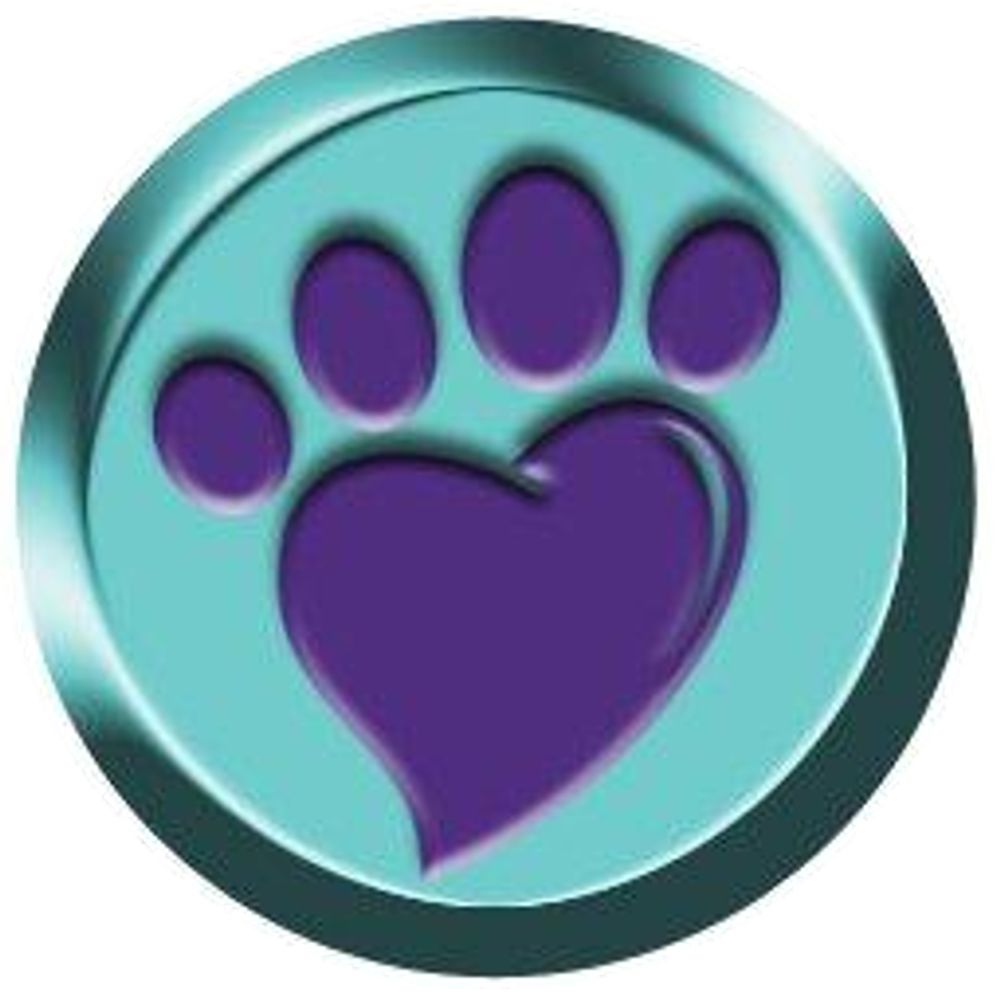 Calvin's Paws Cat Rescue