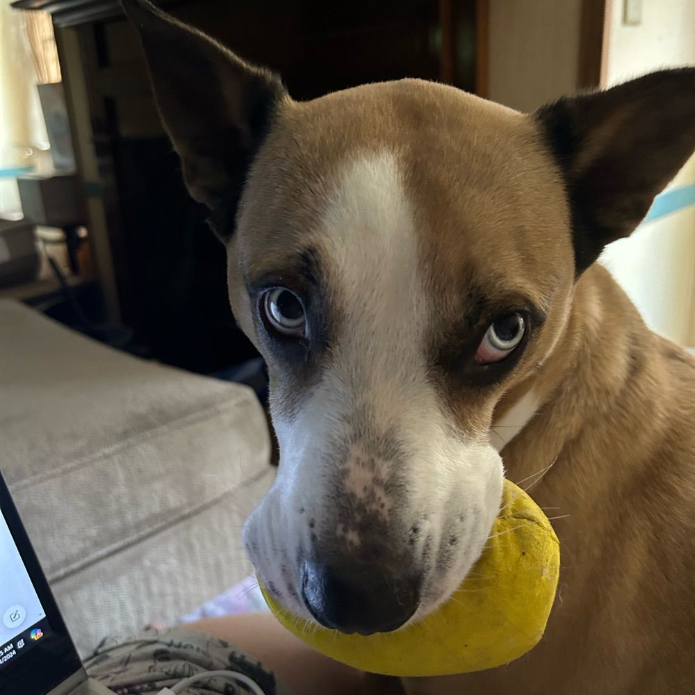 MollysMom_akaPeebs