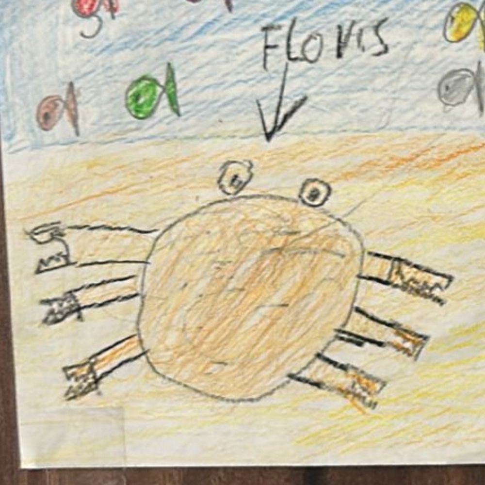Floris_C 🚲