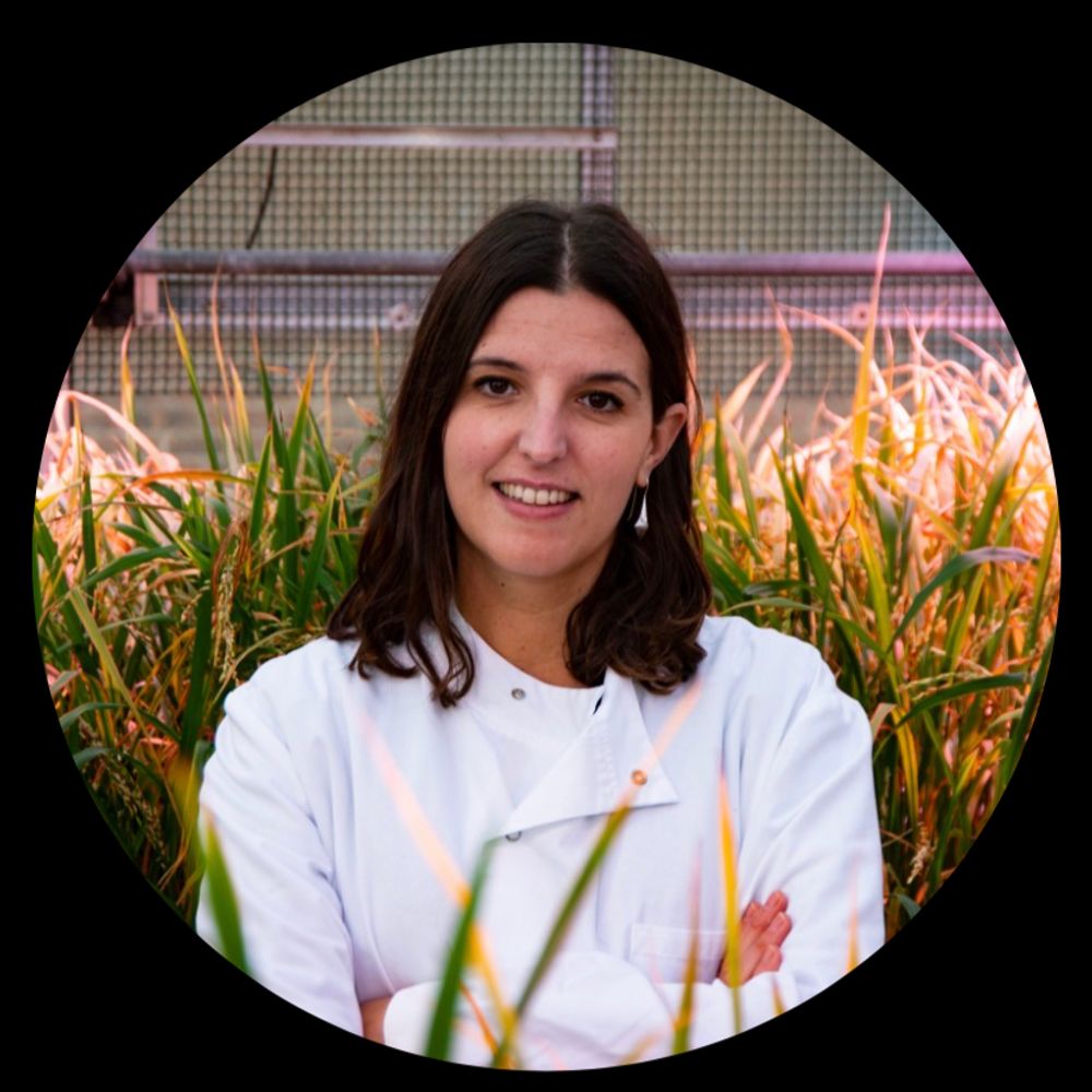 Miriam Oses-Ruiz