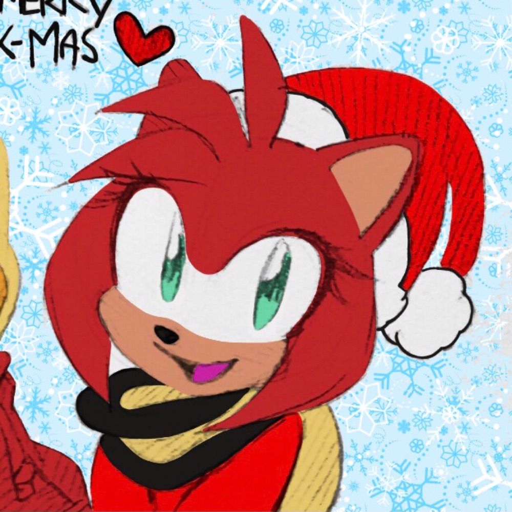Sally The Hedgehog