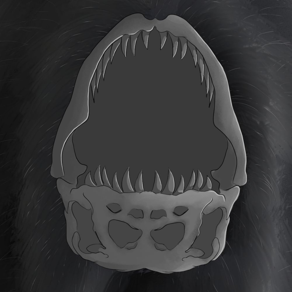 KuuRaiga