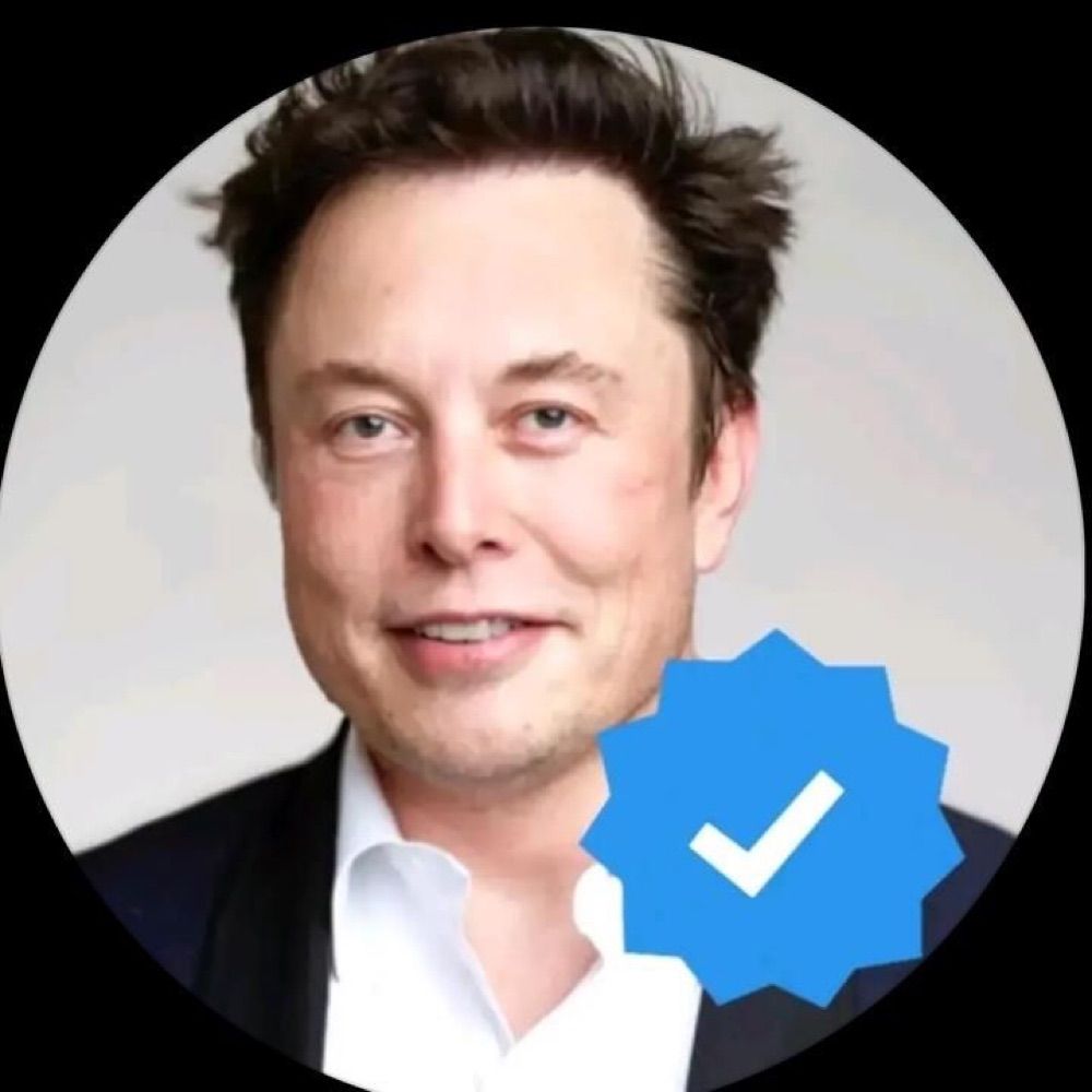 Profile picture elonreevemusk1010.bsky.social