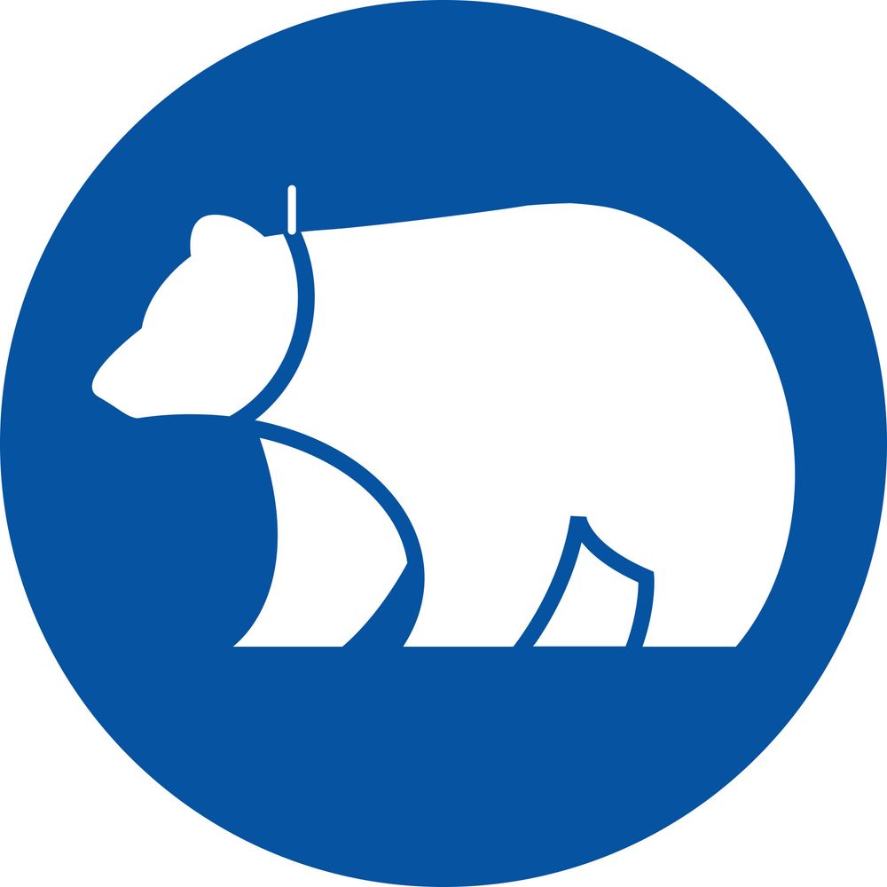 FatBear wildlife science solutions