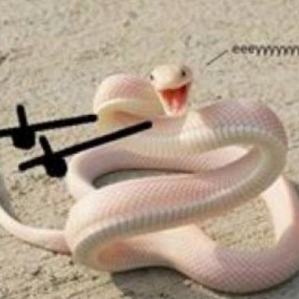 Loca de Atari