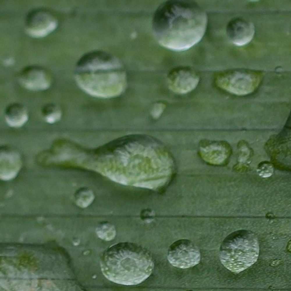 Raindrop