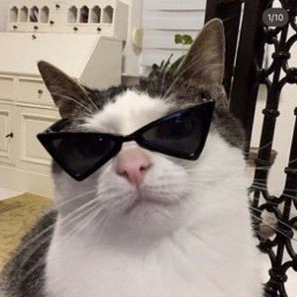 rayanlecat