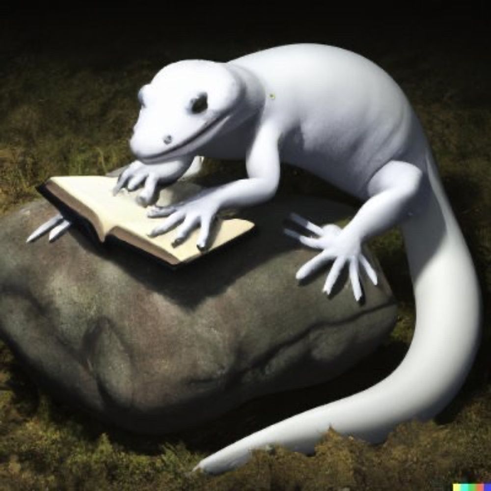 White Salamander 