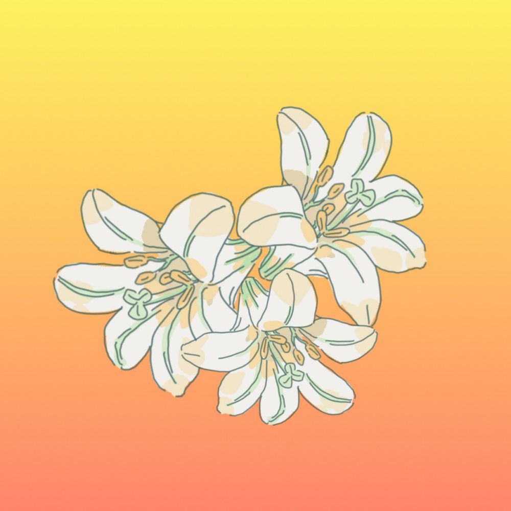 くろだんご