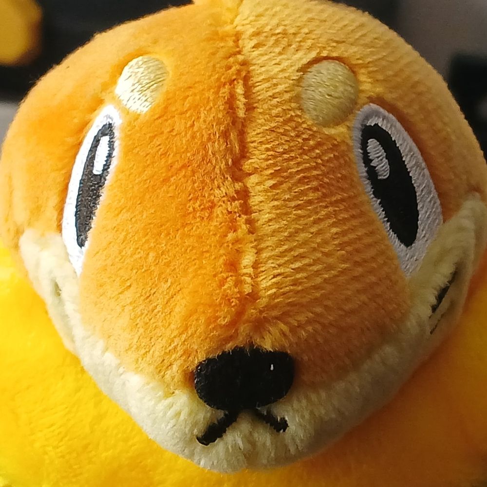 SleepyOtter8806