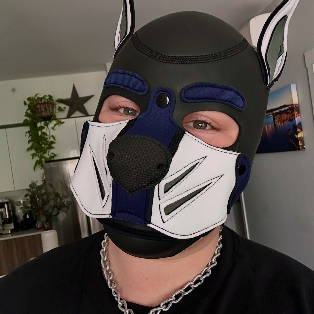Pup Nova