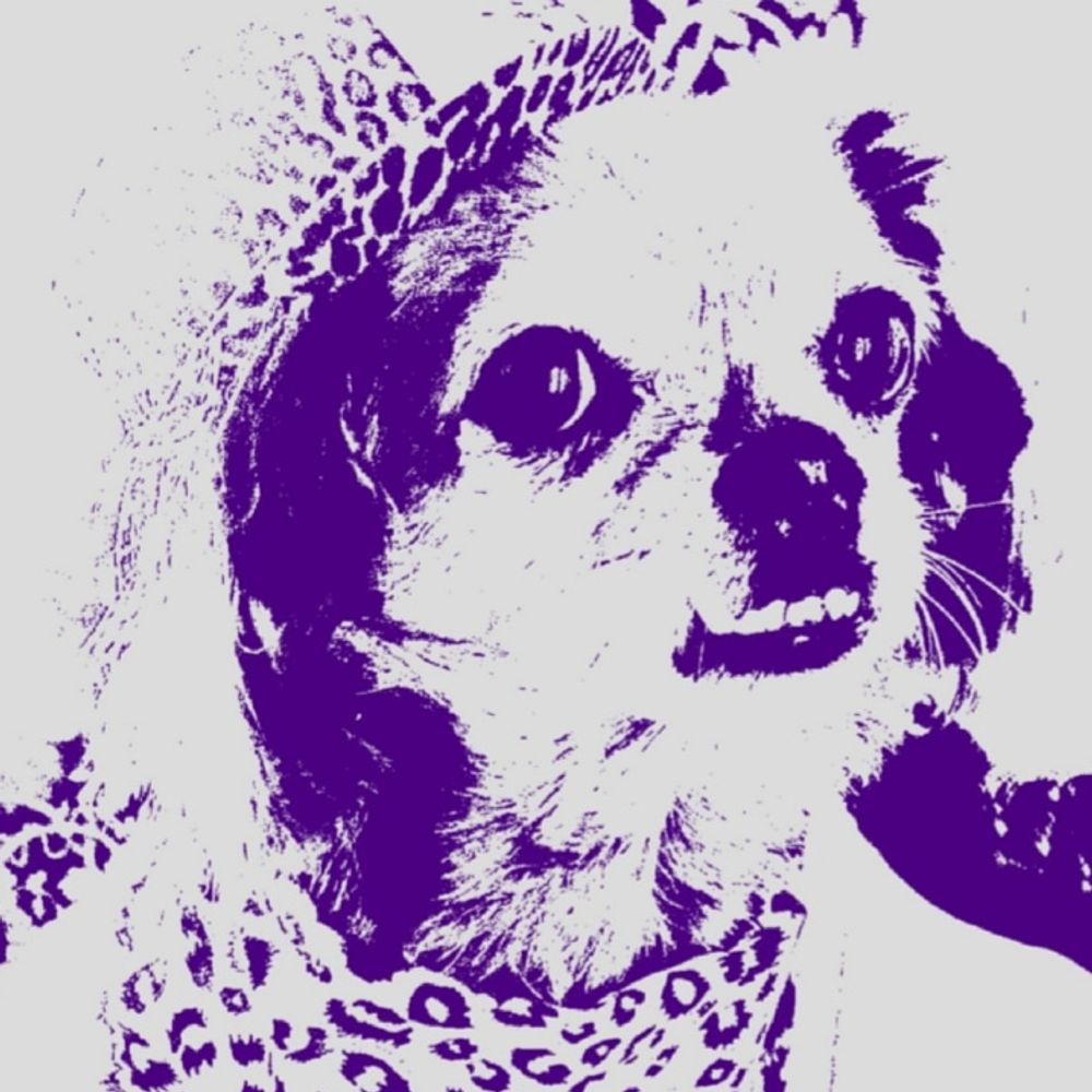 BubbyJoNoNo
