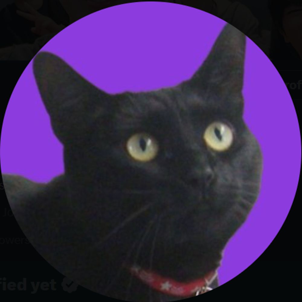 jooncat⁷