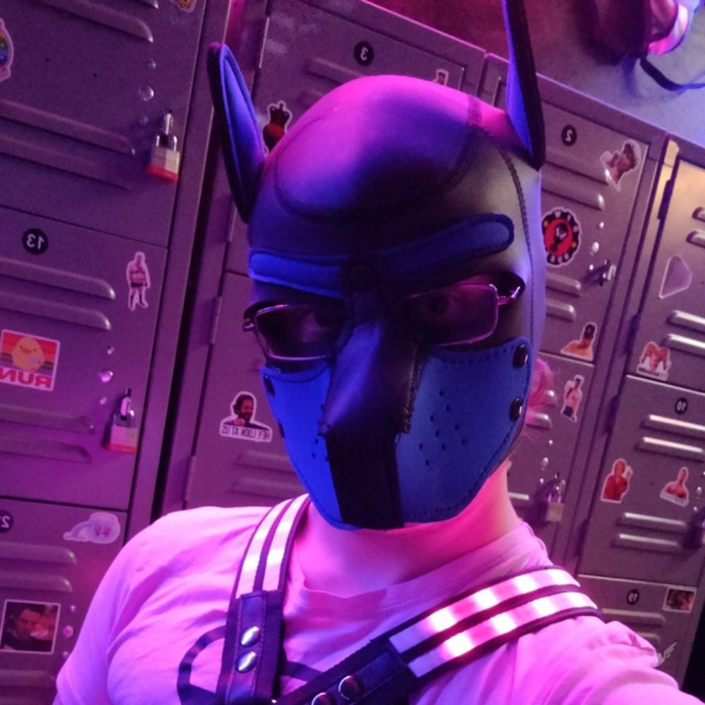 Shadow The Fox