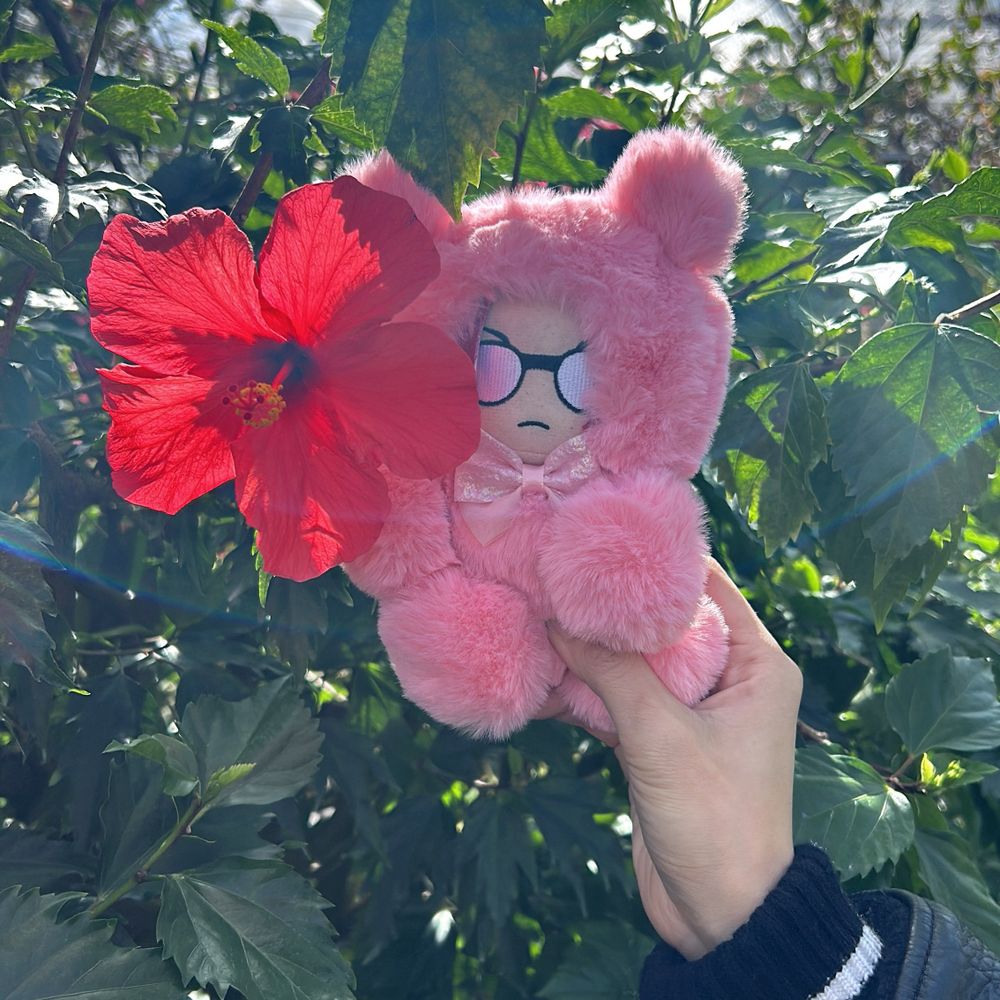 たこ