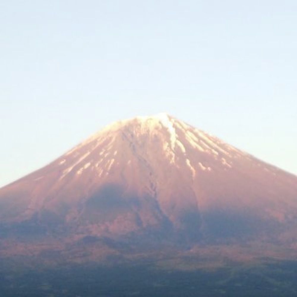 えふもち