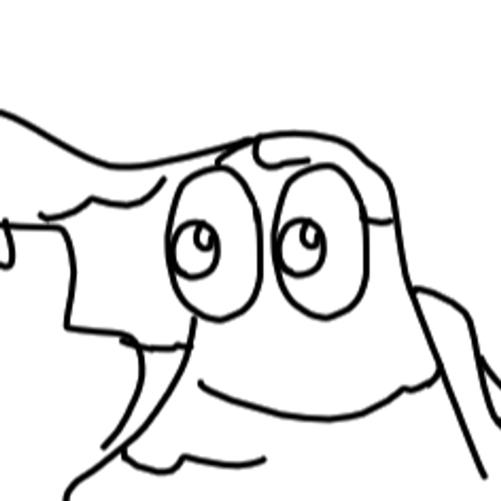 Amber, the Seal