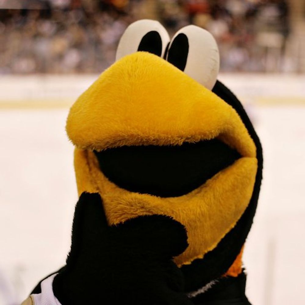 Iceburgh