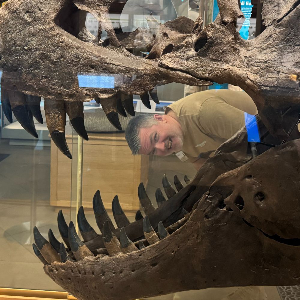 Steve Megabeast