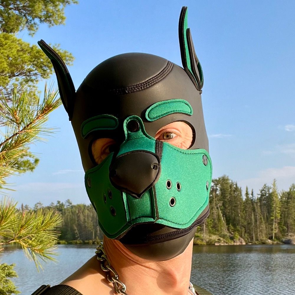 Pup Ferris