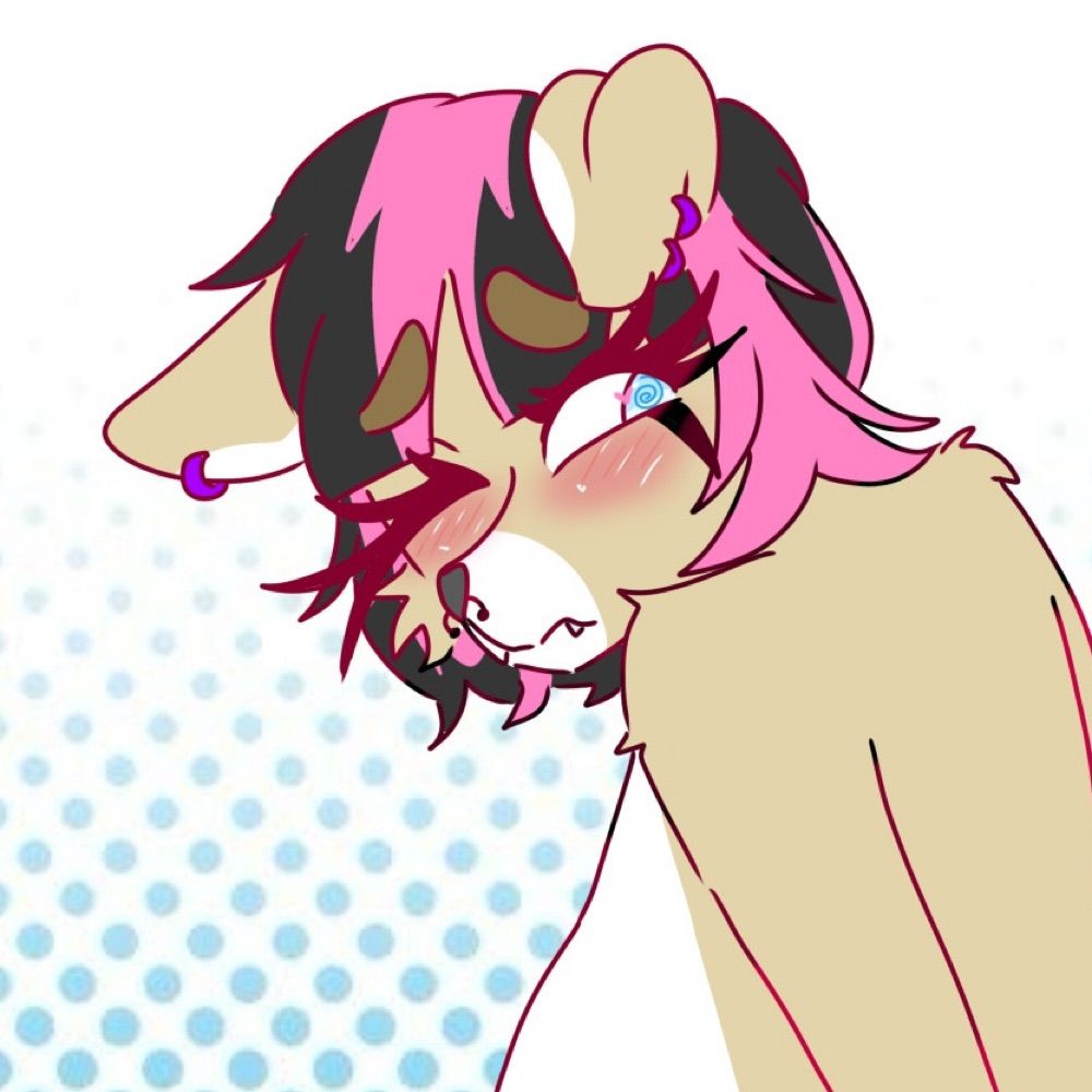 Puppi