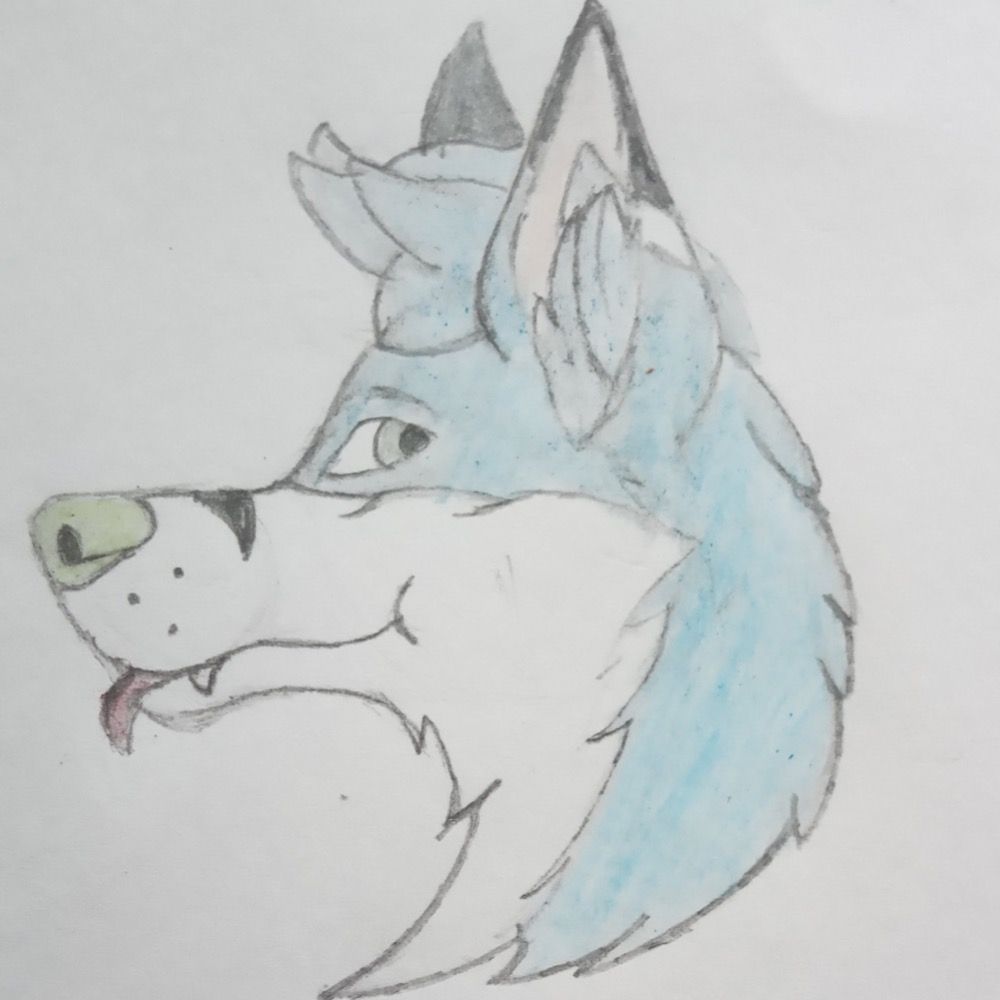 Polaris 