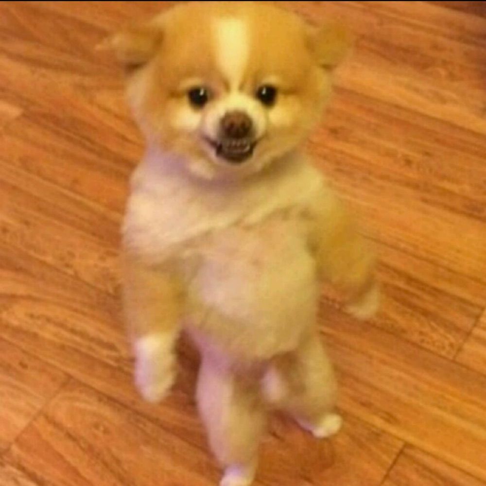 변강쇠