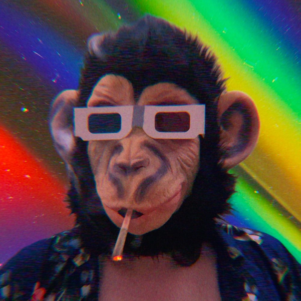 Cosmo the Space Chimp