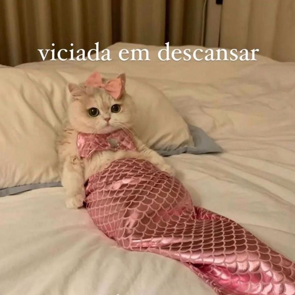As vozes me disseram que