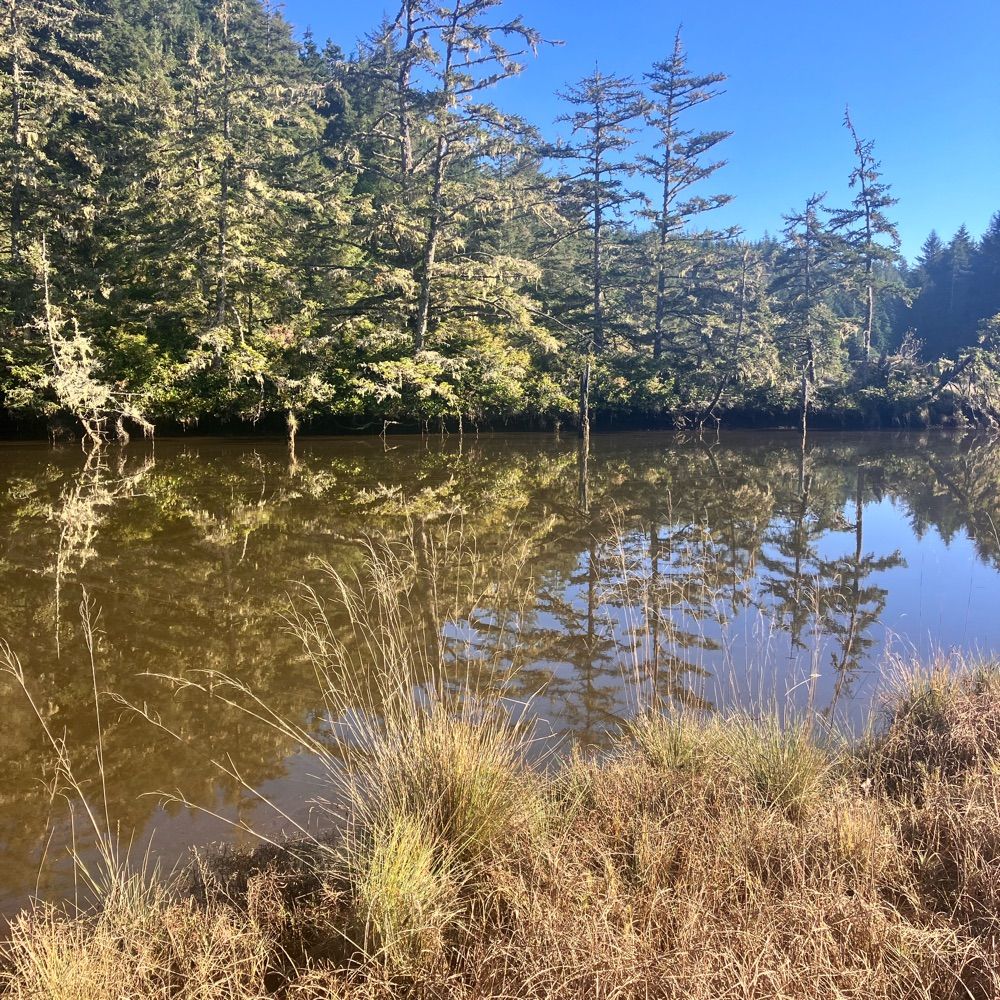 PNW Blue Carbon Working Group