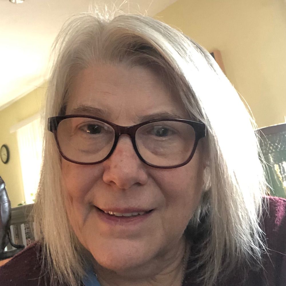 Susan Schmitt ART