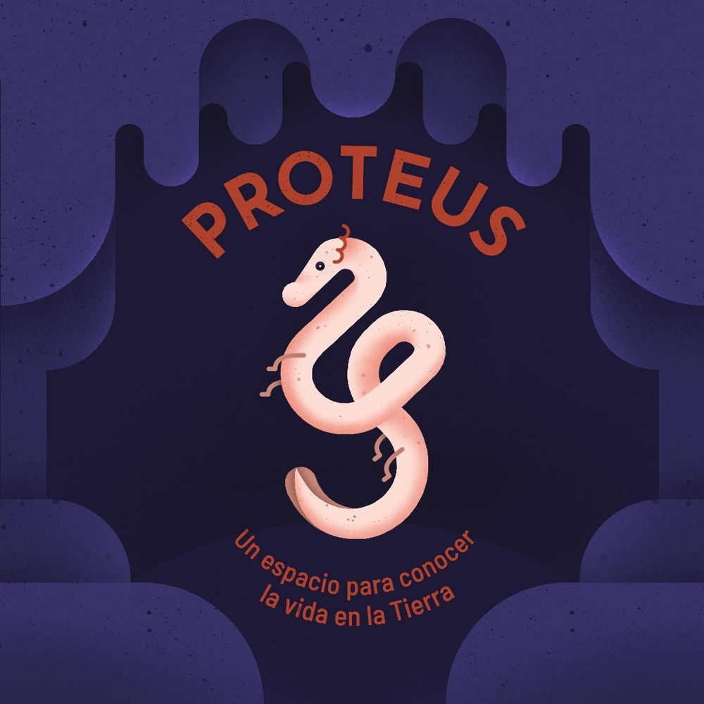 Proteus