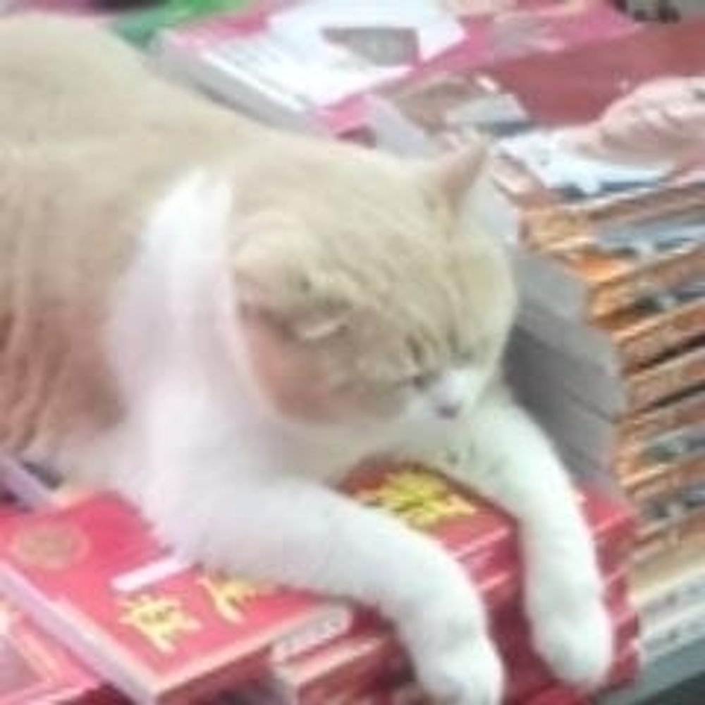 やまぬこ