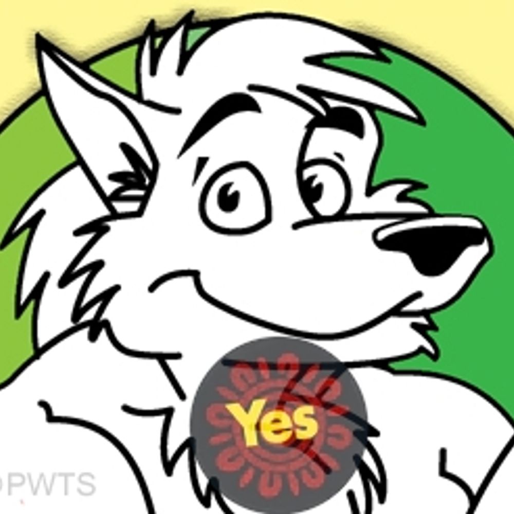Wolfie Rankin's avatar