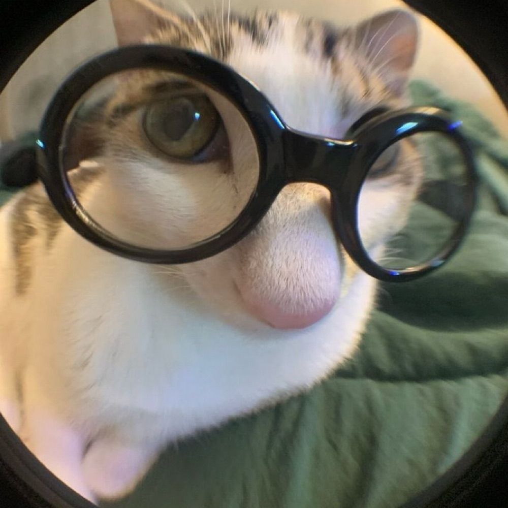 복족이