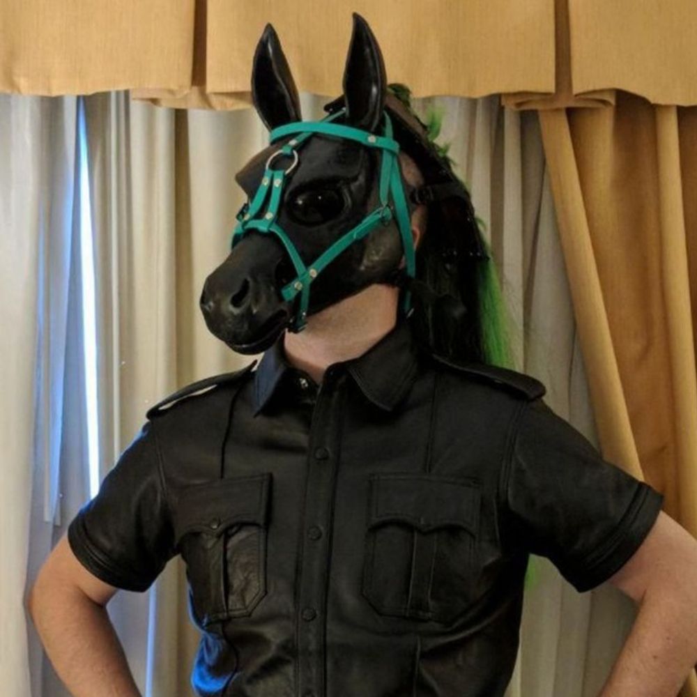 Max Stallion